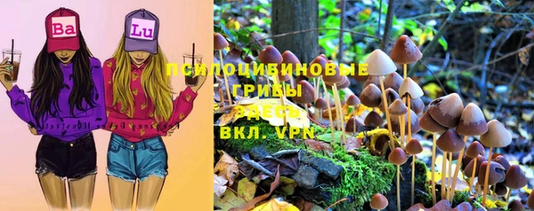 a pvp Новокубанск