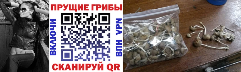 Псилоцибиновые грибы мицелий  где найти   Старый Крым 